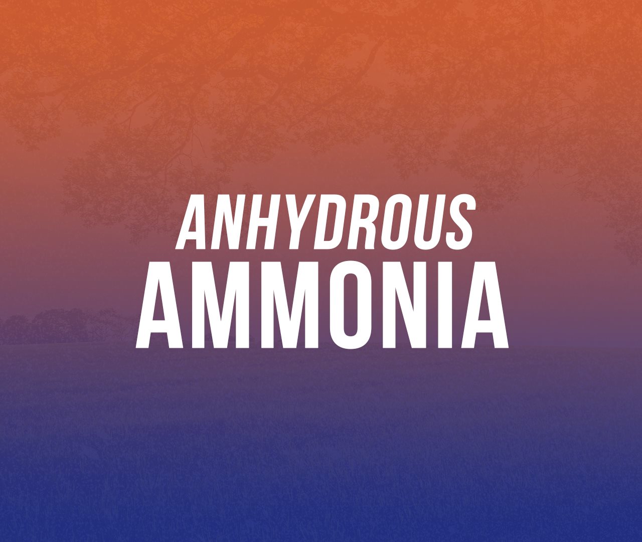 Anhydrous Ammonia 2
